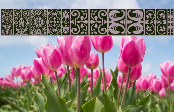Orna 3 Font examples