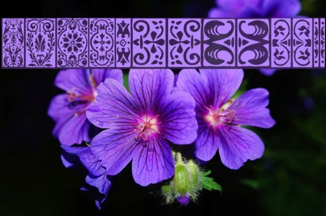 Orna 3 Example 2