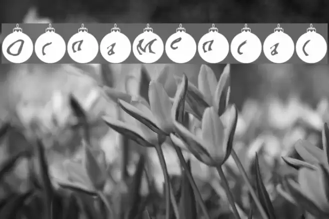 OrnaMental Font examples