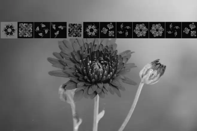 OrnaRosettes Font examples