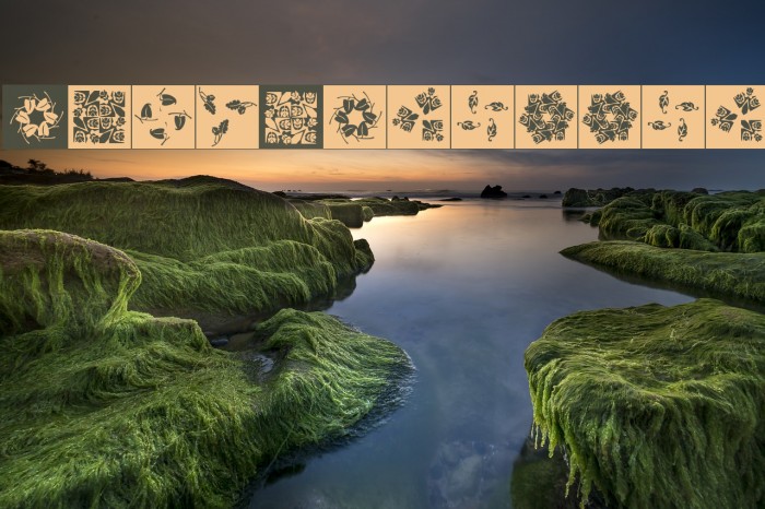 OrnaRosettes Example 2