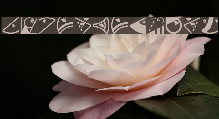 OrnamFacesMK Example 1