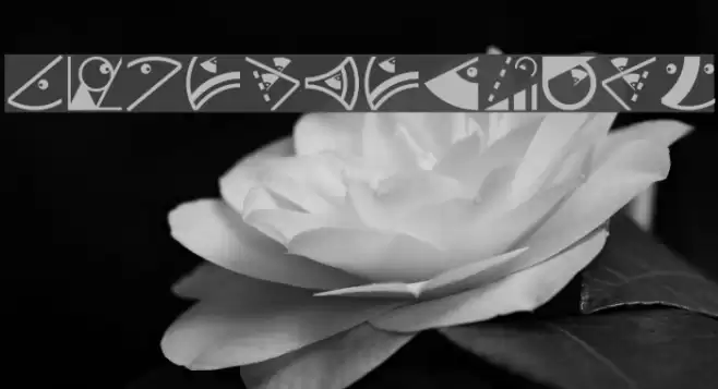 OrnamFacesMK Font examples