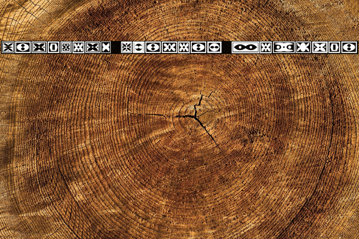 Ornament Borders Regular Example 3