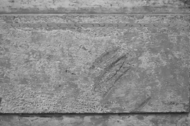 Ornament ScrollsAndFlorishes Font examples