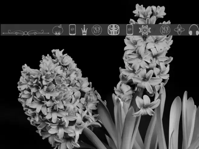 Ornament mix Font examples