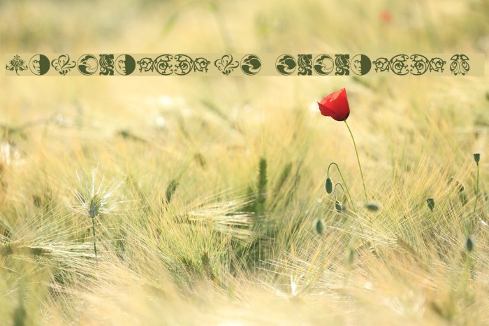 Ornamental Elements II Example 1