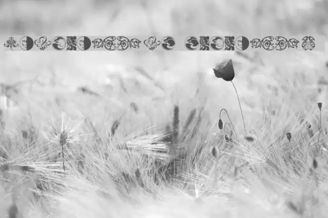 Ornamental Elements II Font examples