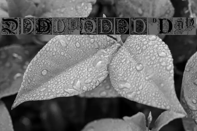 Ornamental Initials D Font examples