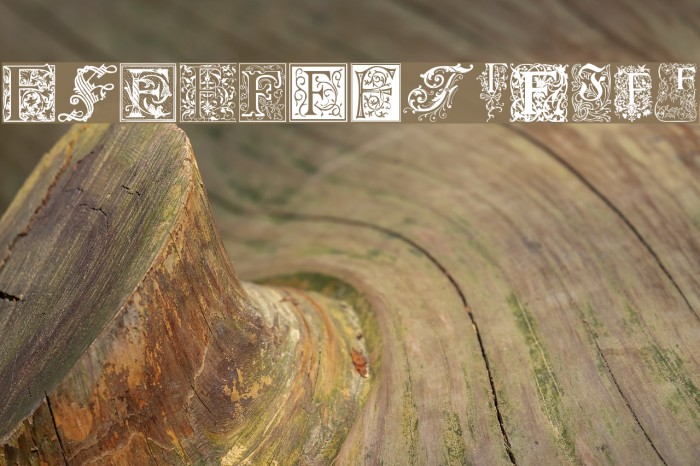 Ornamental Initials F Font examples