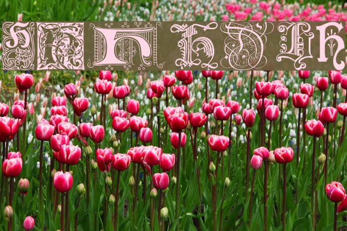 Ornamental Initials H Font - FFonts.net