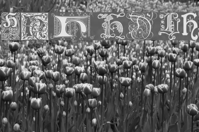 Ornamental Initials H Font examples