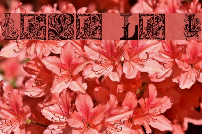 Ornamental Initials L Example 3