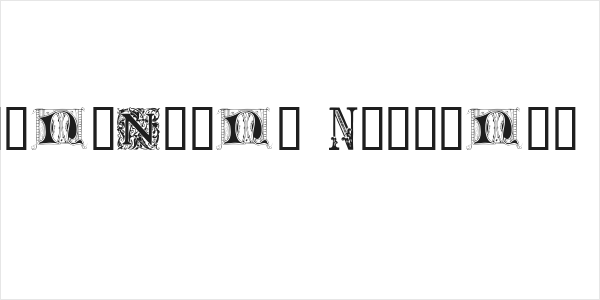 Ornamental Initials N Logo