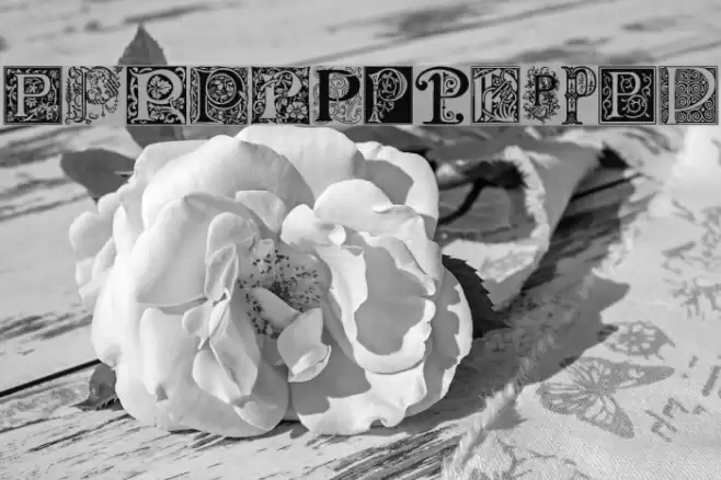 Ornamental Initials P Font examples