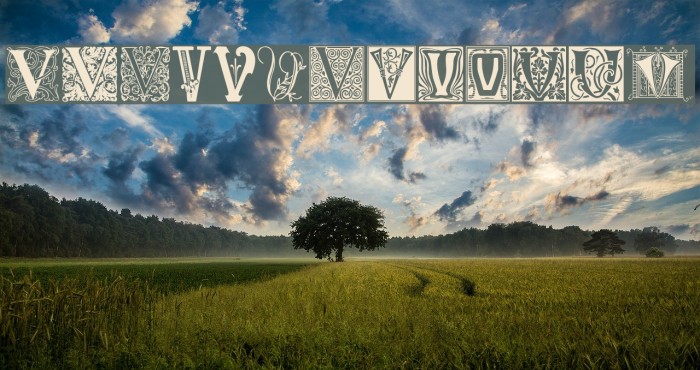 Ornamental Initials V Font examples