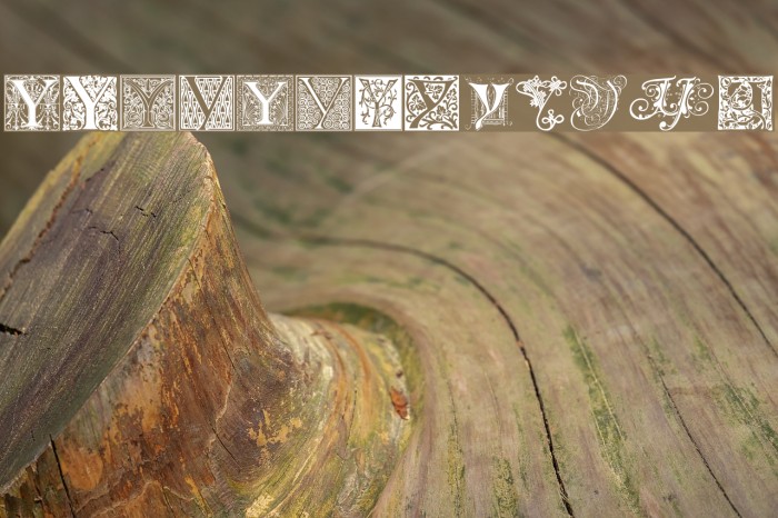 Ornamental Initials Y Font examples