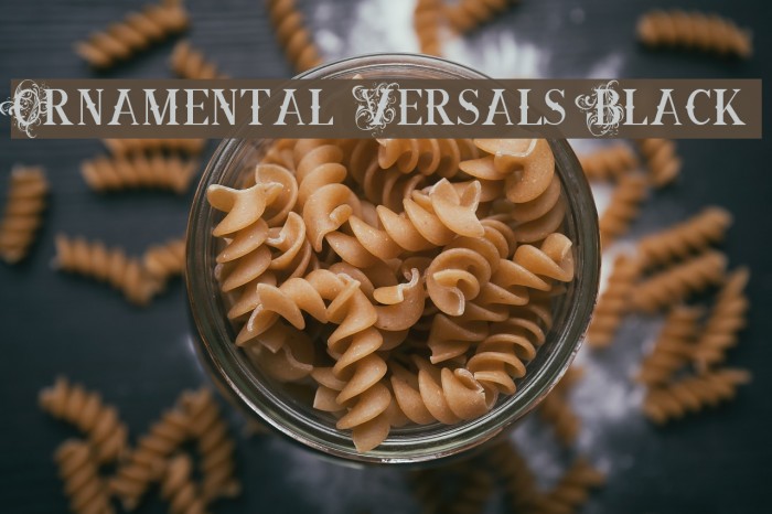 Ornamental Versals Black Font examples