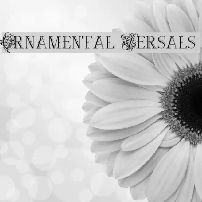 Ornamental Versals Fonte examples