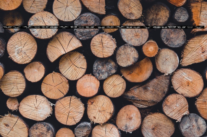 Ornamental Wings Regular Example 3