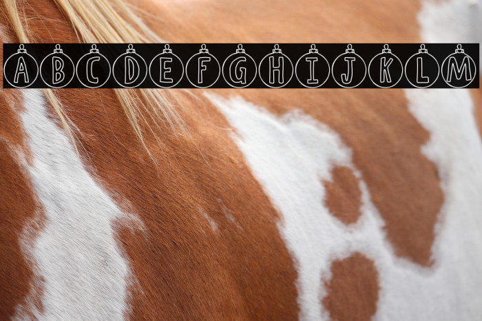 Ornamental Example 3