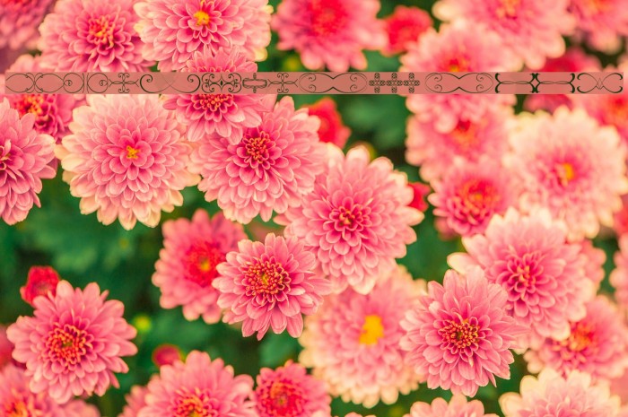 Ornamentsss tfb Example 2