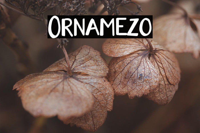 Ornamezo Example 1