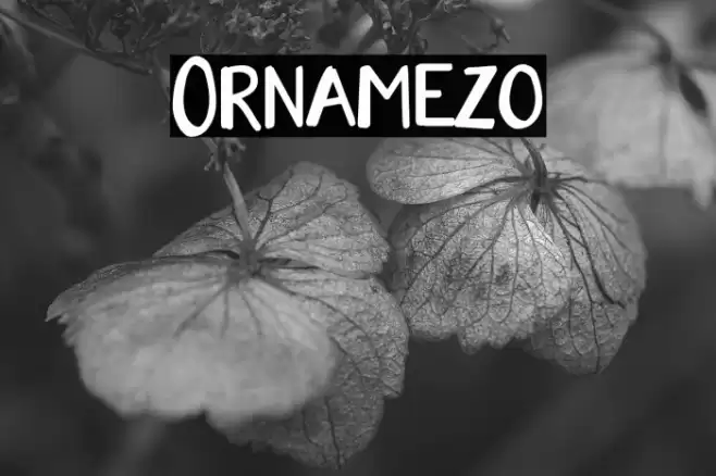 Ornamezo Font examples