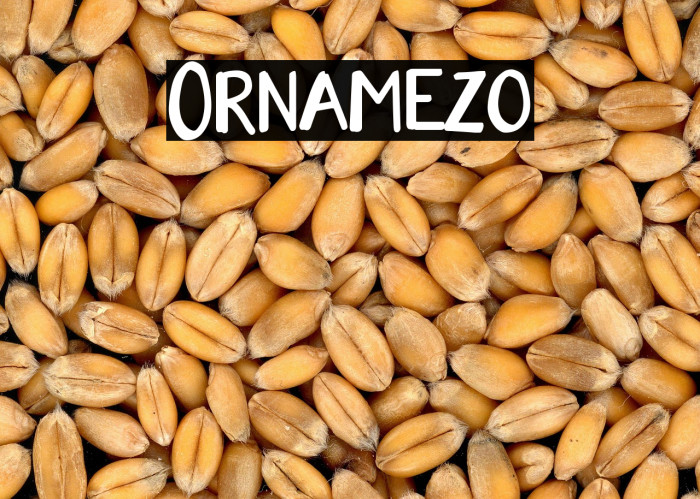 Ornamezo Example 2