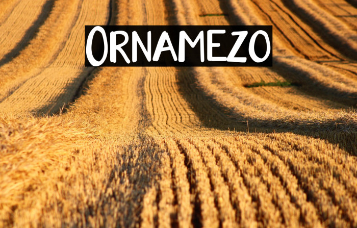 Ornamezo Example 3