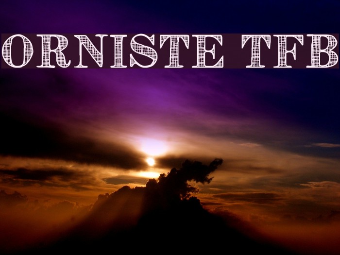 Orniste tfb Example 1