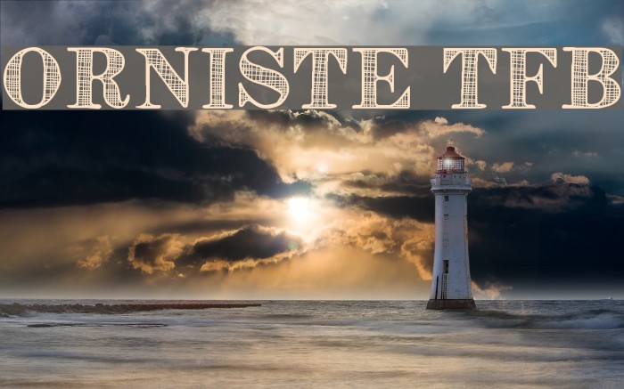 Orniste tfb Example 2