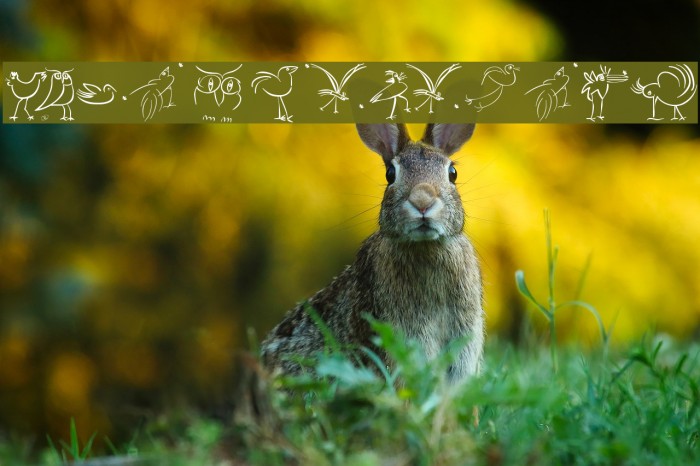 OrnithoLogics Font examples