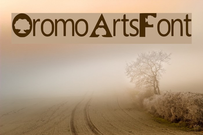 Oromo_Arts_Font Example 1