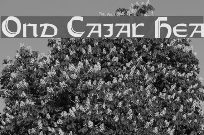 Orotund Capitals Heavy Caratteri examples