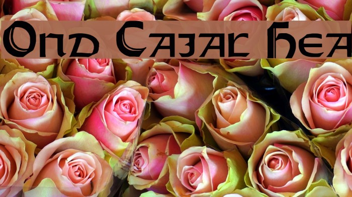 Orotund Capitals Heavy Font examples