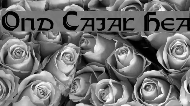 Orotund Capitals Heavy Caratteri examples