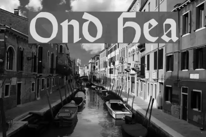 Orotund Heavy Caratteri examples