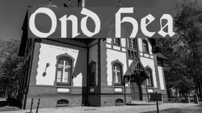 Orotund Heavy Caratteri examples