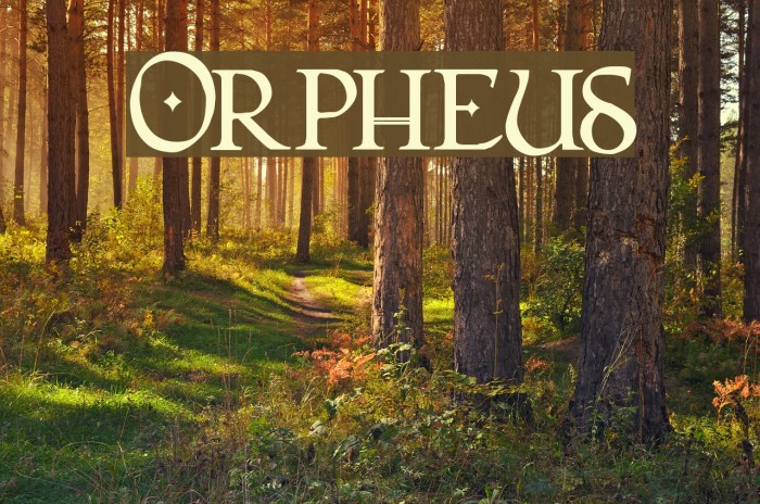 Orpheus Font examples