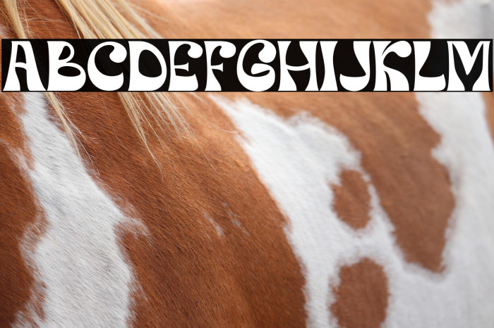 Orphic Regular Example 2