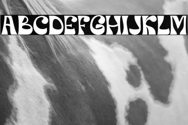 Orphic Regular Fuentes examples