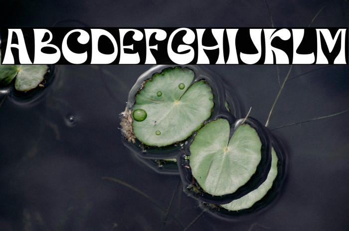 Orphic Regular Example 3