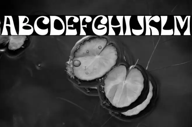 Orphic Regular Fuentes examples