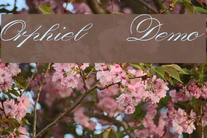 Orphiel Demo Font examples