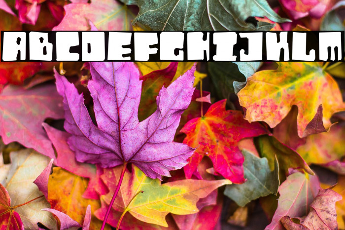 Orthotopes Eroded Example 3