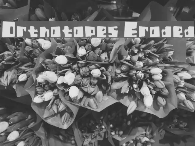 Orthotopes Eroded Font examples