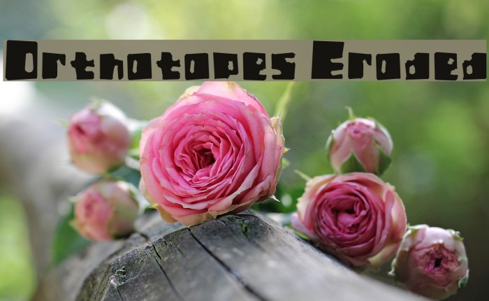 Orthotopes Eroded Font examples