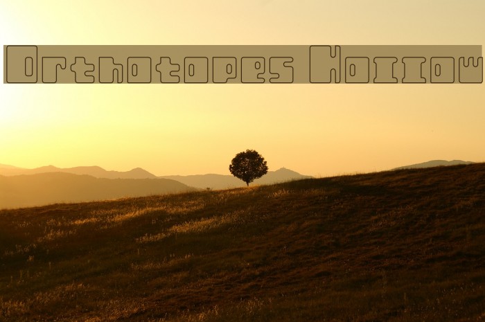 Orthotopes Hollow Example 2