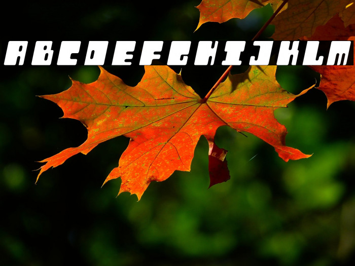 Orthotopes Italic Example 1